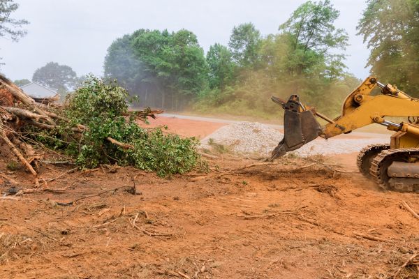 Ground Clearing in Kihei