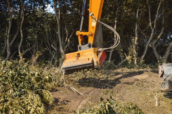 Brush Removal Service in Kihei