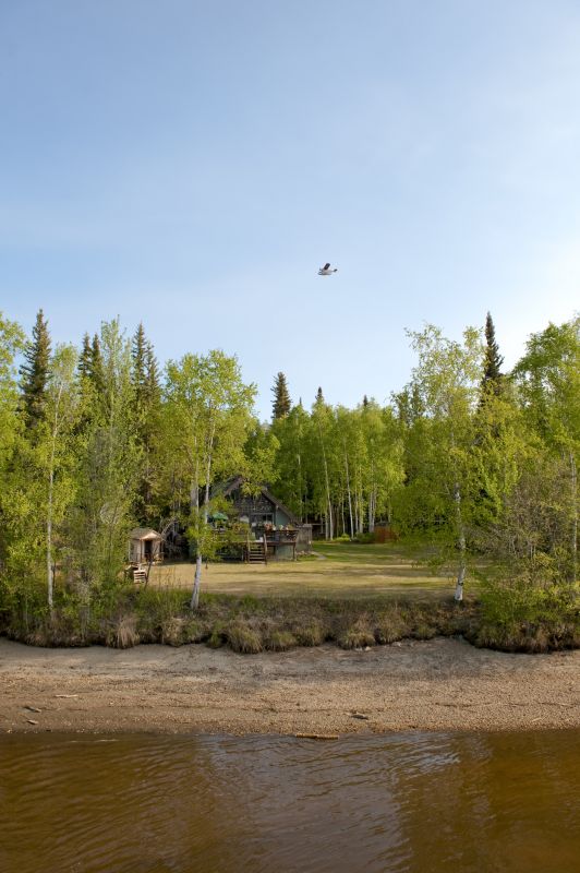 Land After Vegetation Removal